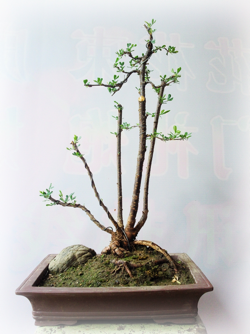 Ƭ0426.jpg