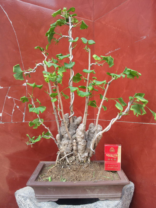 照片0448.jpg