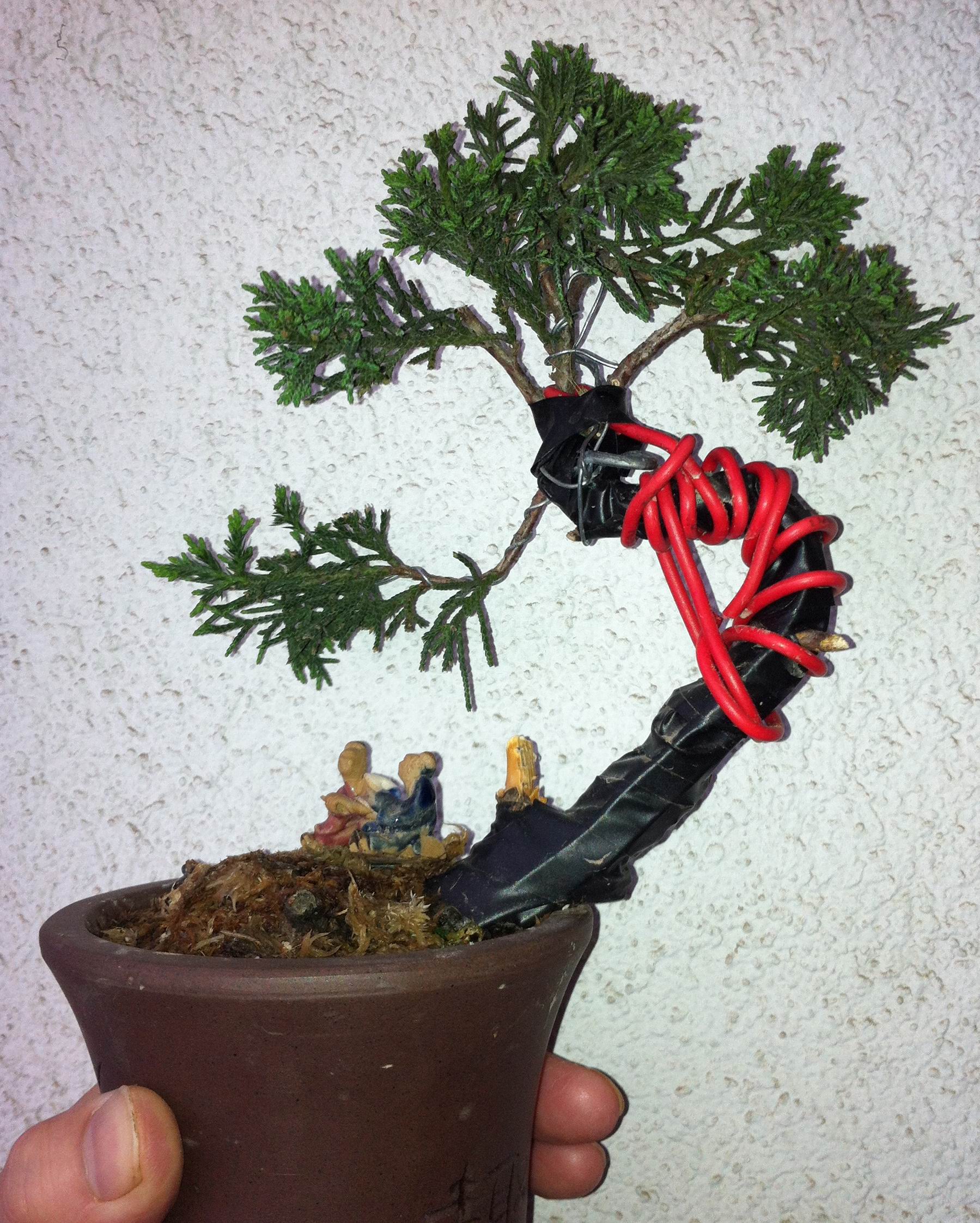 ת IMG_0155.JPG