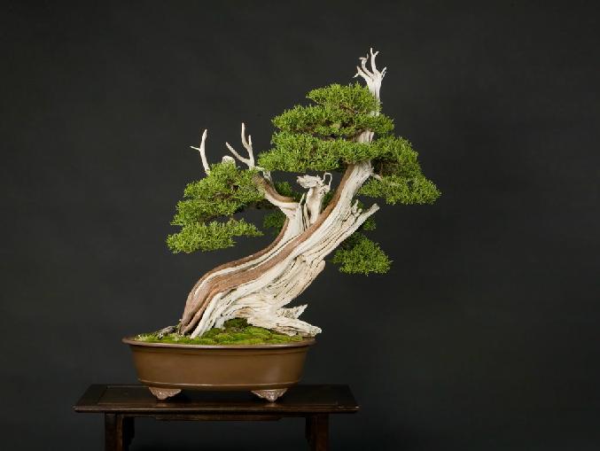 360ͼ20120505152951951.jpg