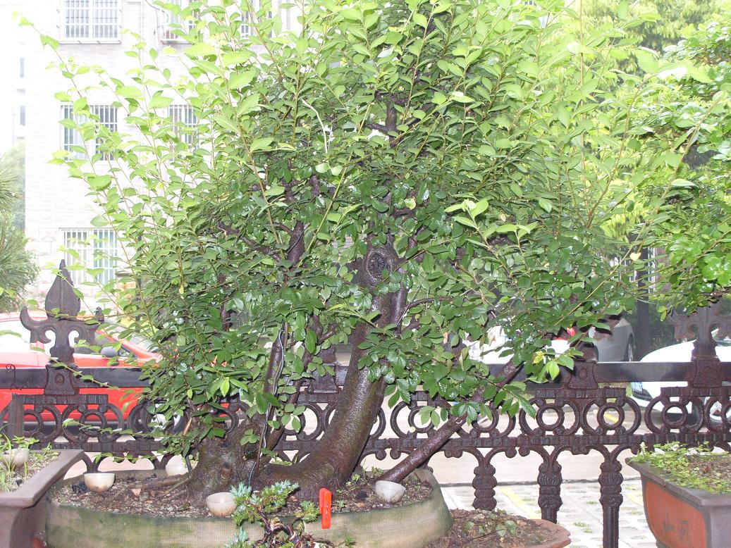 S1050977.JPG