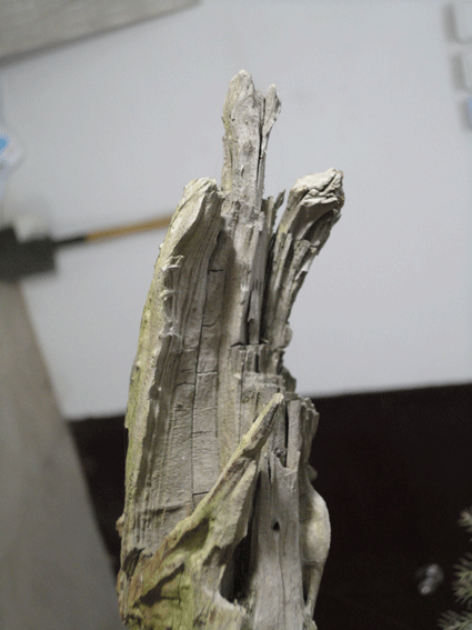 DSC00340.gif