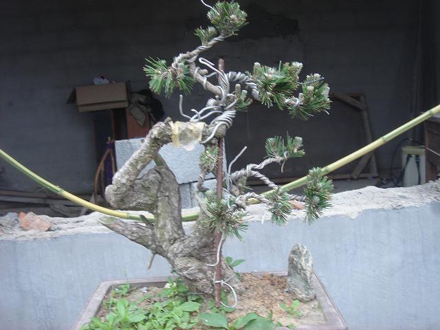 DSC05842.JPG