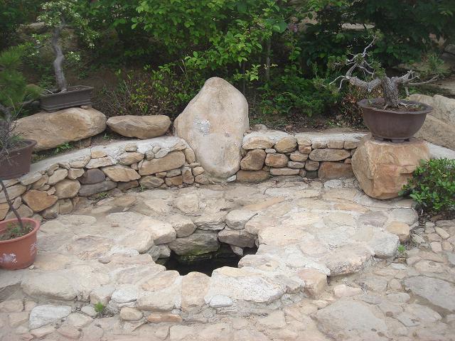 DSC05846.JPG
