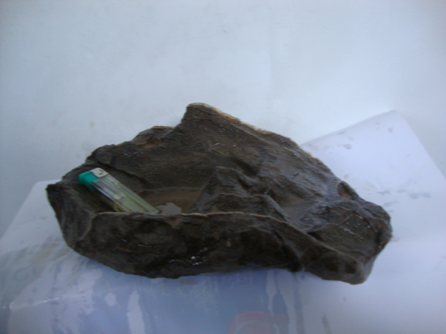 DSC01806.JPG