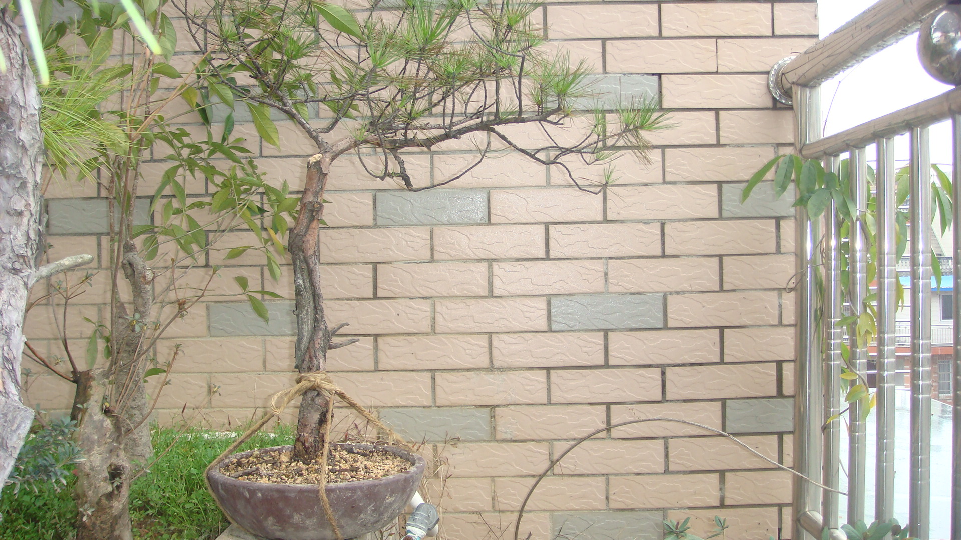 DSC03903.JPG