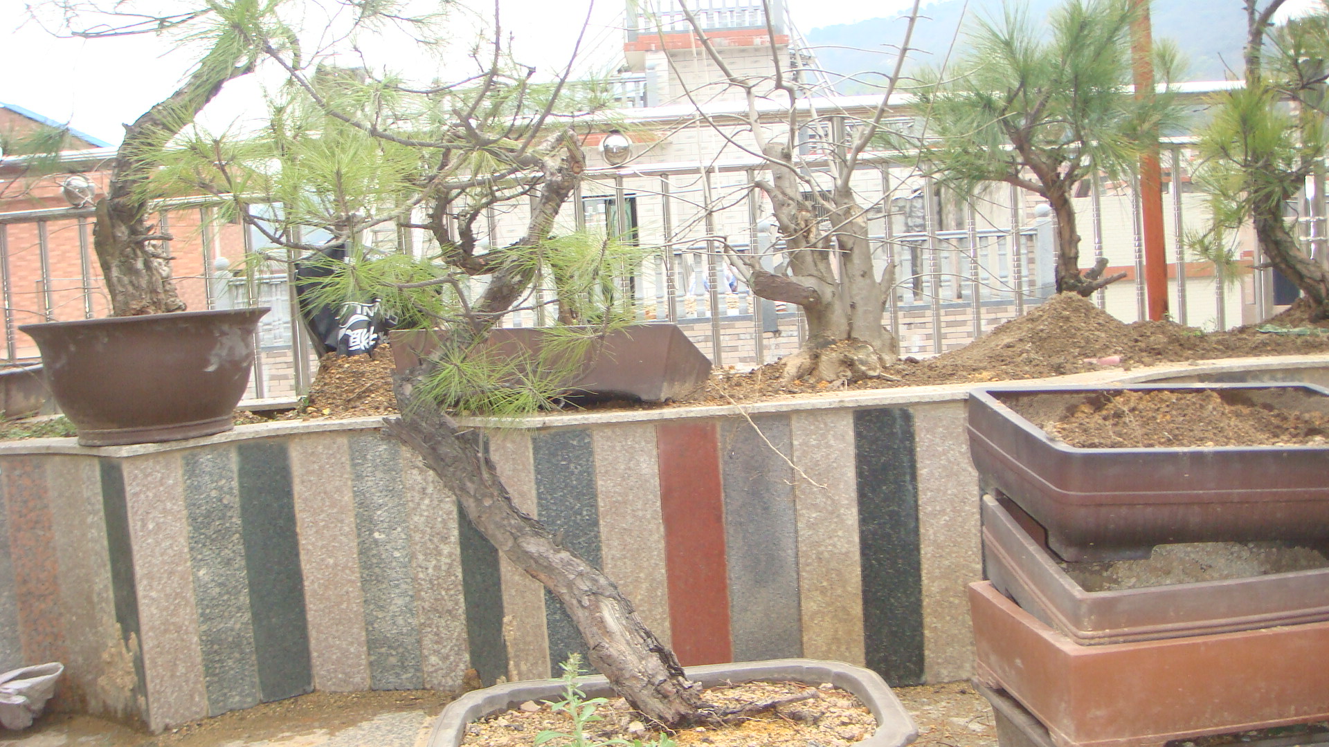 DSC03916.JPG
