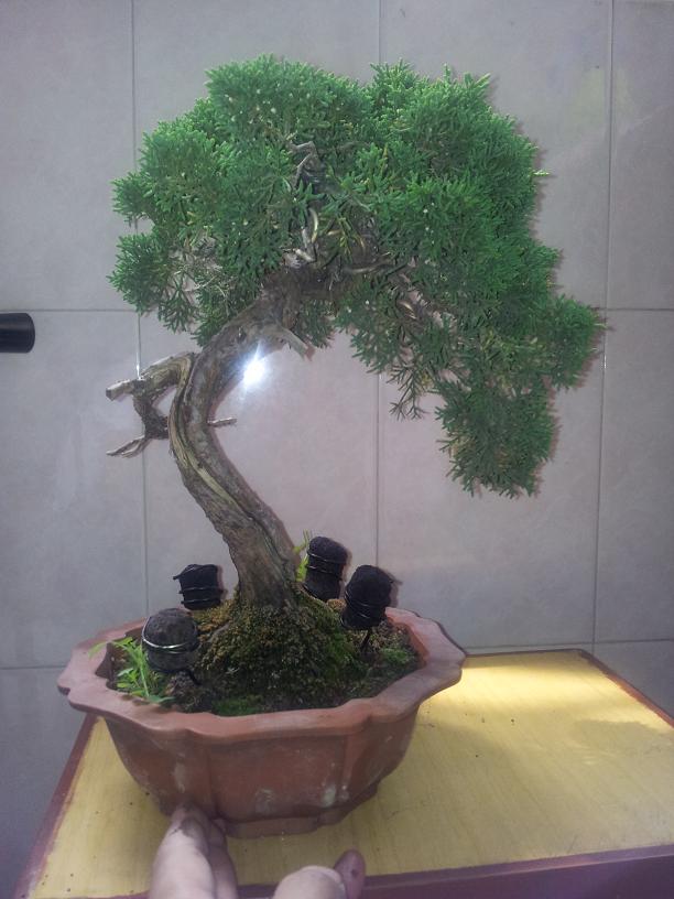 20120503_100049.jpg