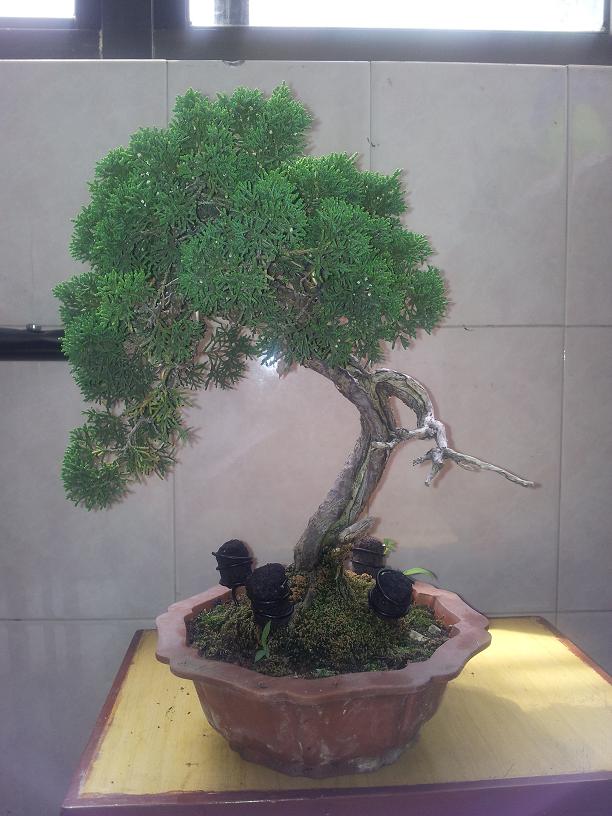 20120503_100205.jpg