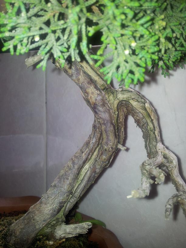 20120503_100317.jpg