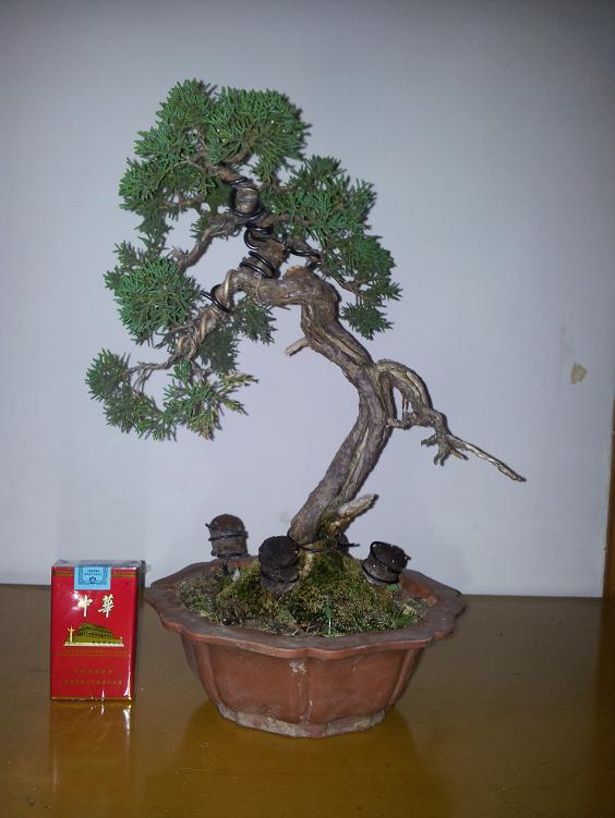 20120510_211340.jpg