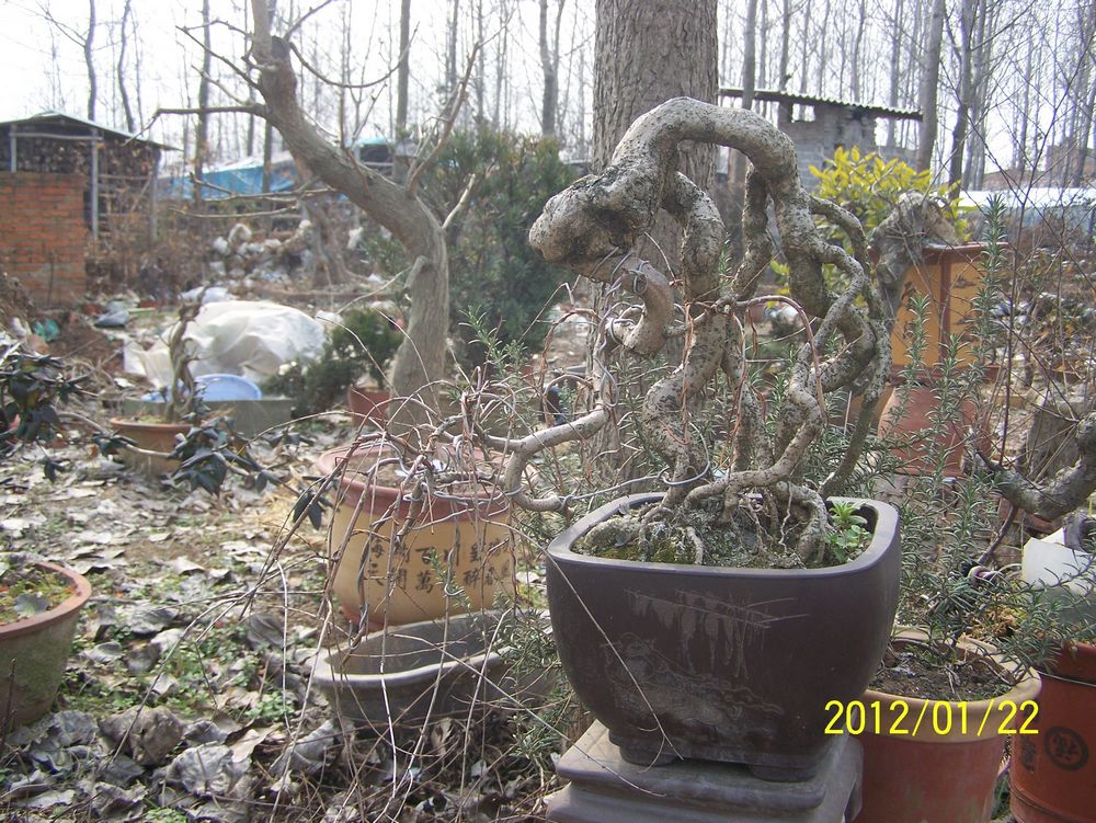 Ƭ 90242.jpg