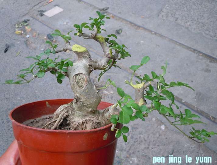 照片 032_副本.jpg