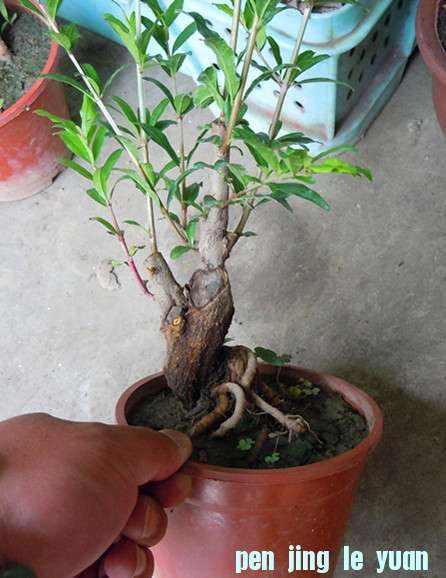 Ƭ 028_.jpg
