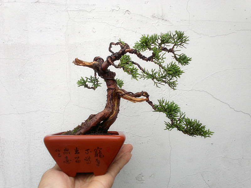 201205141241_.jpg