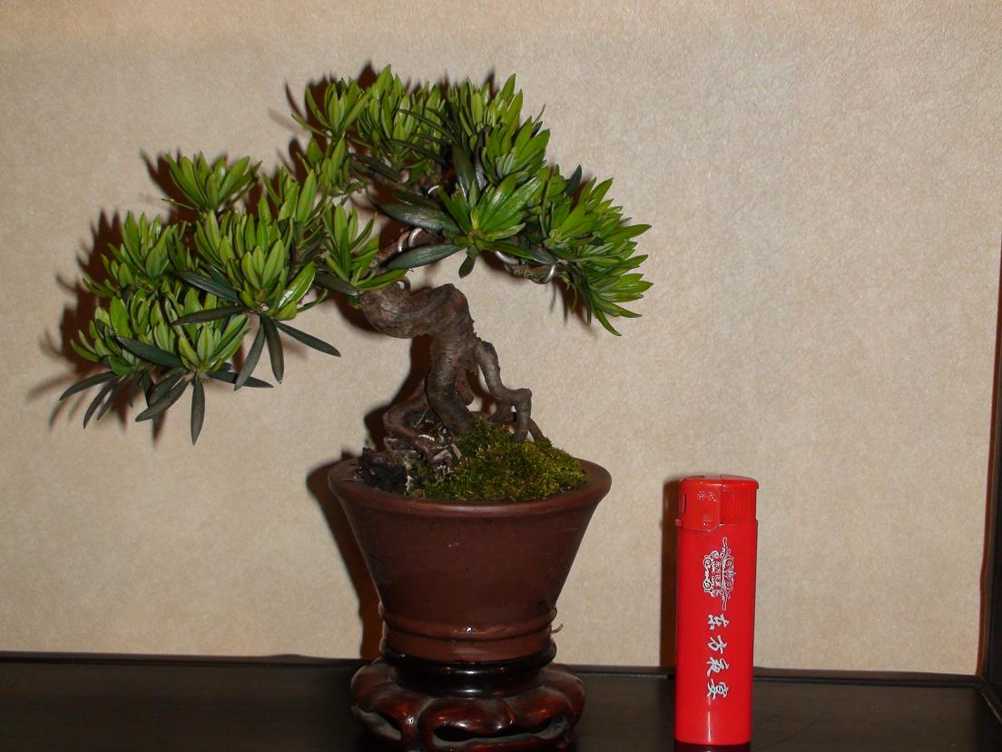 DSC00329.JPG