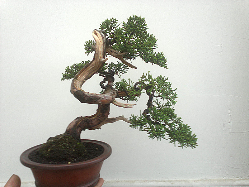 201205141247_.jpg