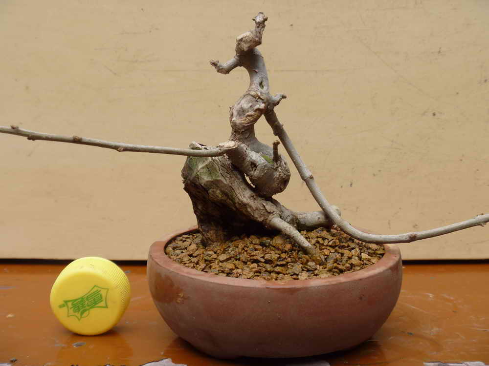 P1010464.JPG