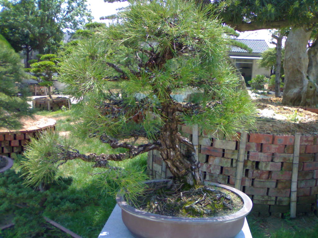 20120517656.jpg