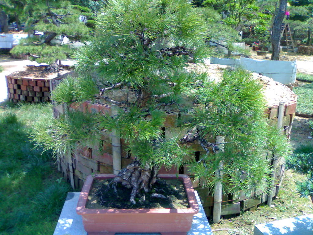 20120517659.jpg