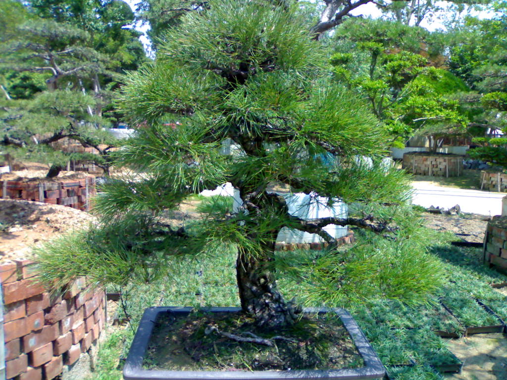20120517660.jpg