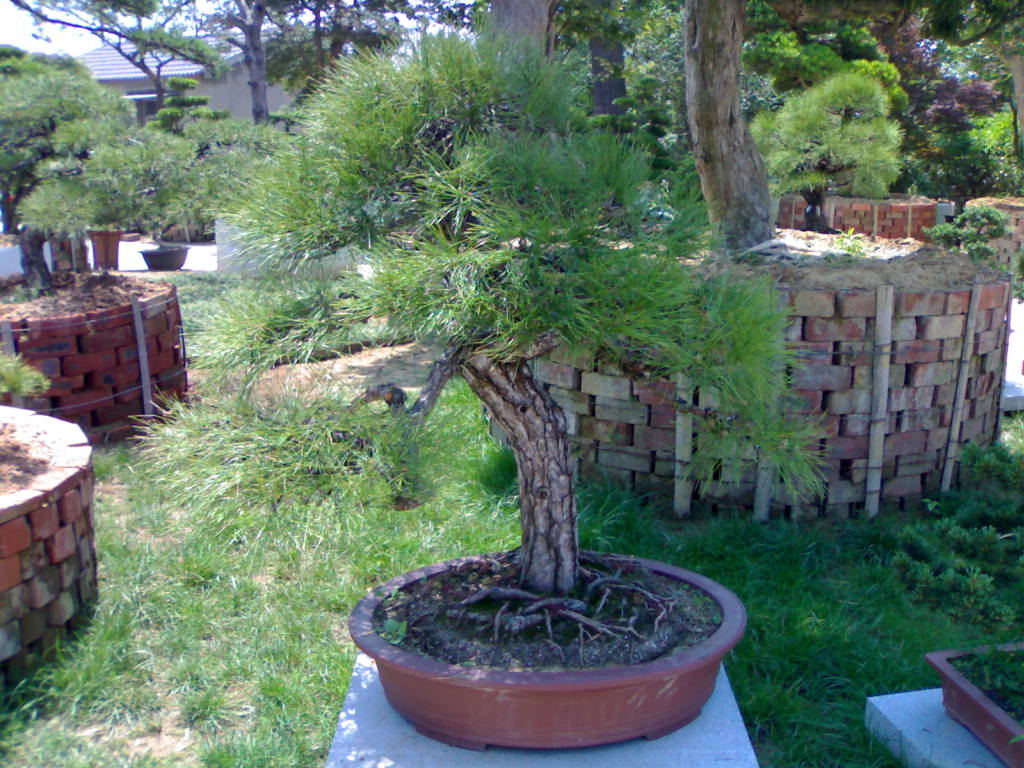 20120517661.jpg