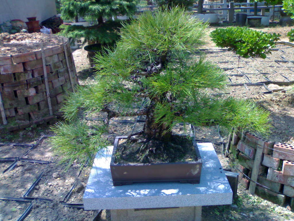 20120517663.jpg
