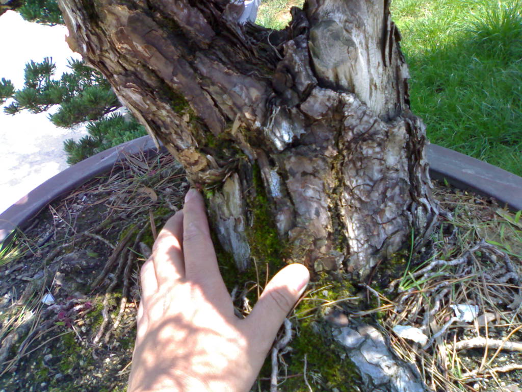 20120517657.jpg