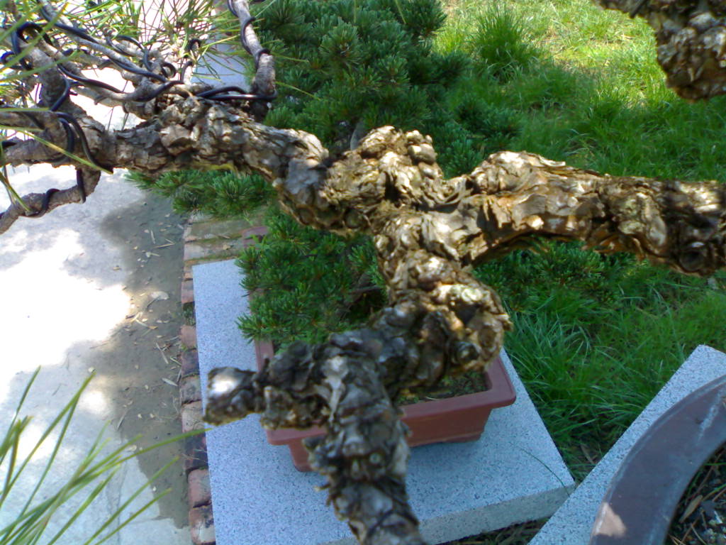 20120517658.jpg