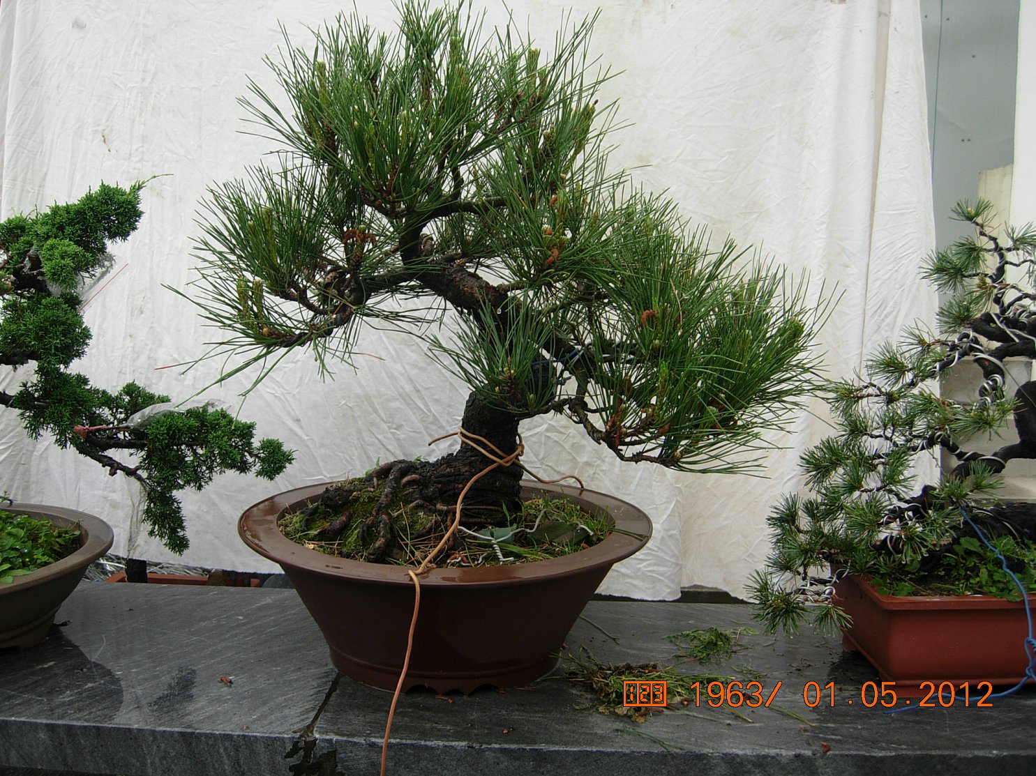 DSCN6054.JPG