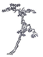 clip_Զimage001_.jpg