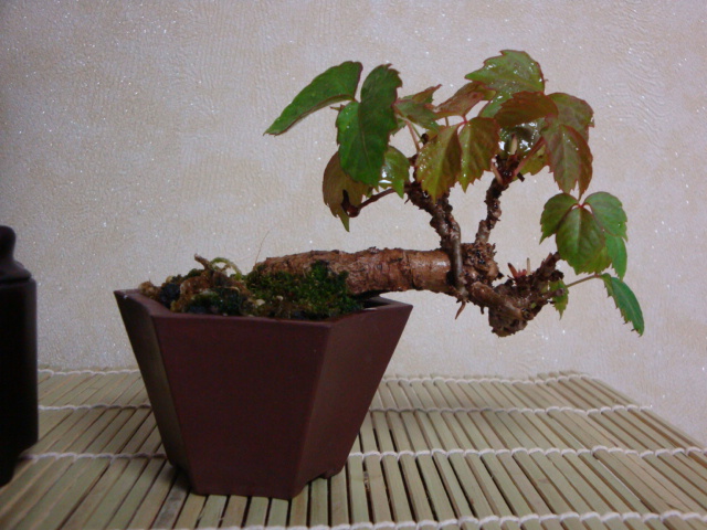 DSC08920.JPG