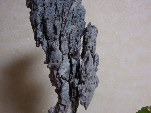 DSC08917.JPG