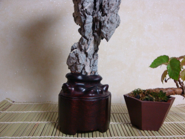 DSC08918.JPG