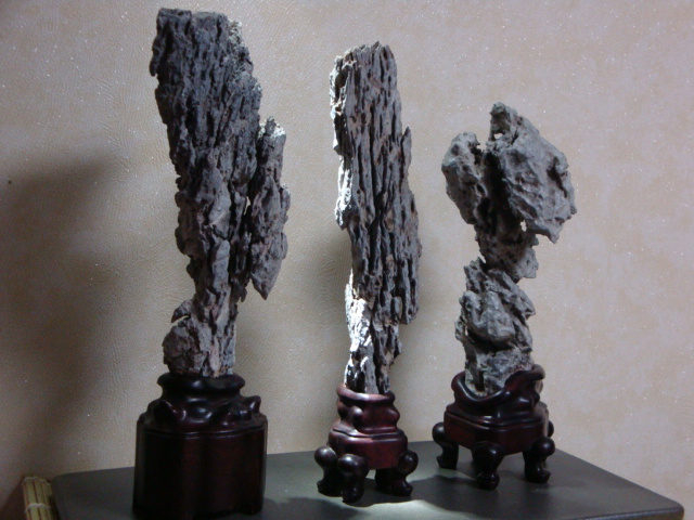 DSC08899.JPG