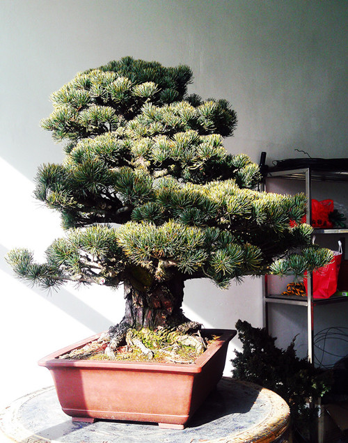 IMAG0777__.jpg