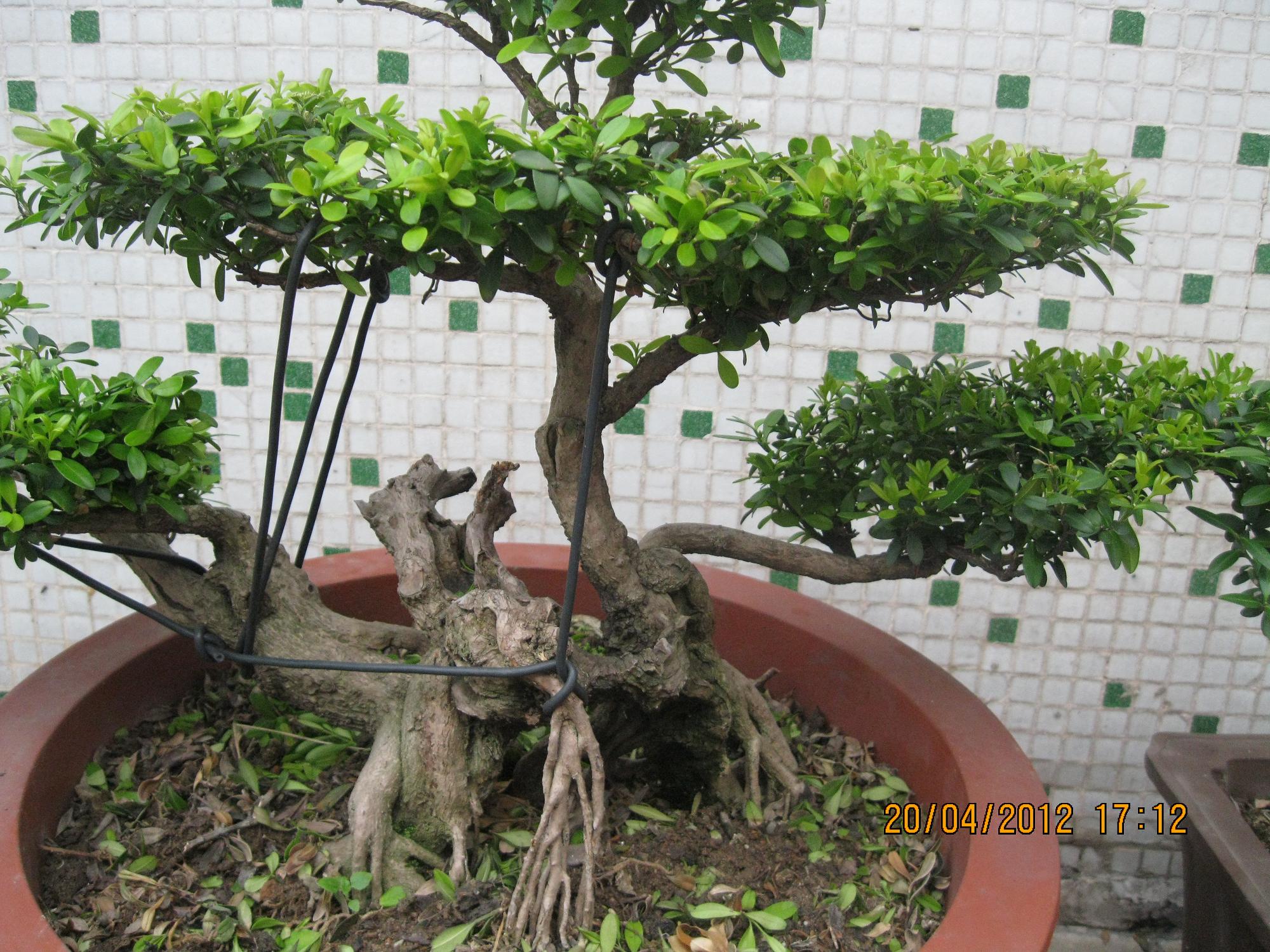 IMG_0318.jpg