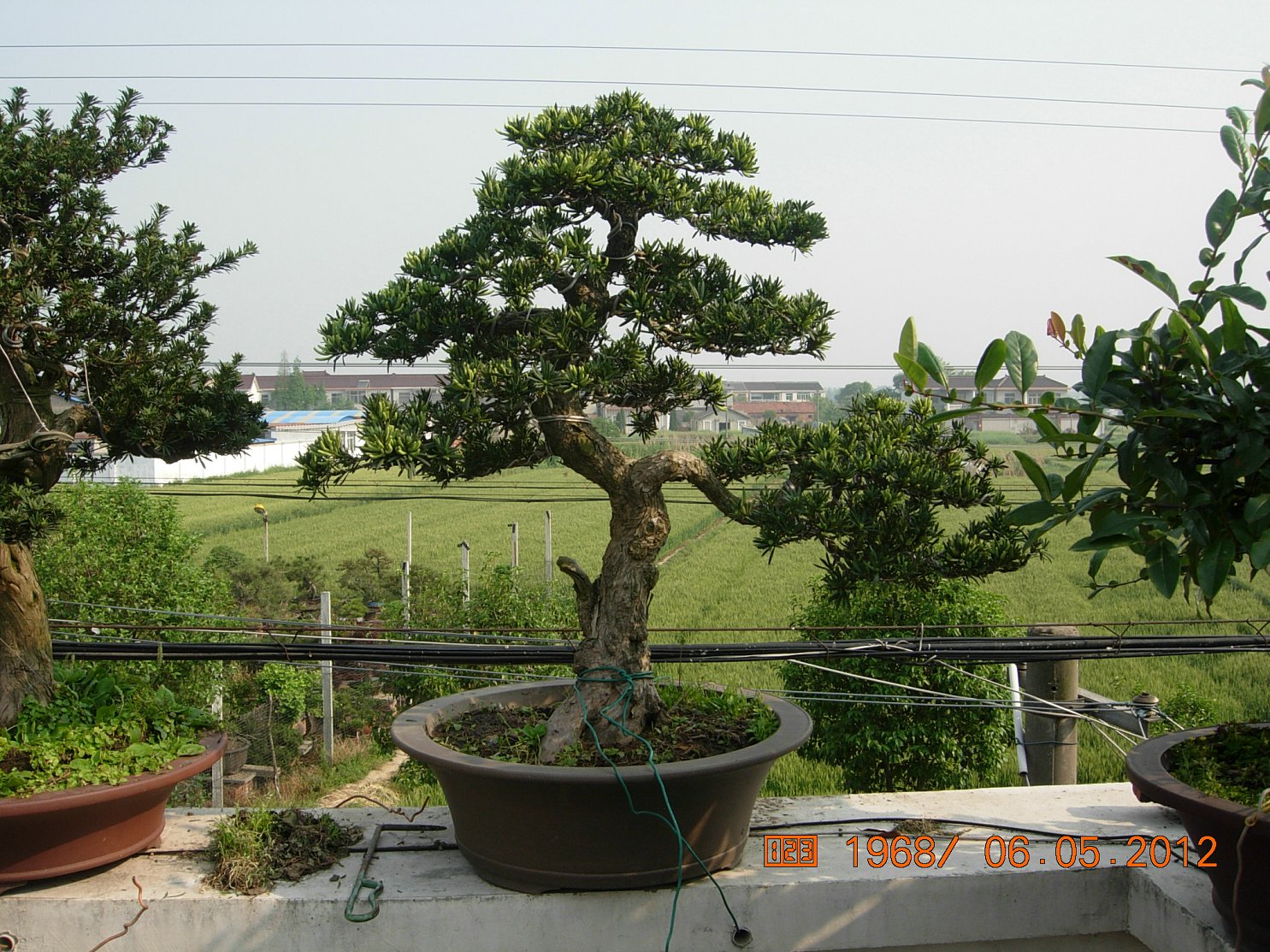 DSCN6120.JPG