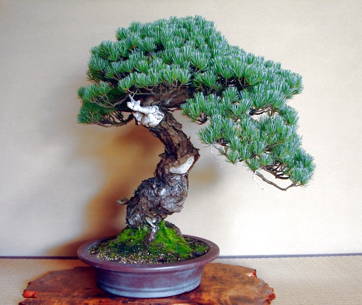 SH 010 (2).jpg