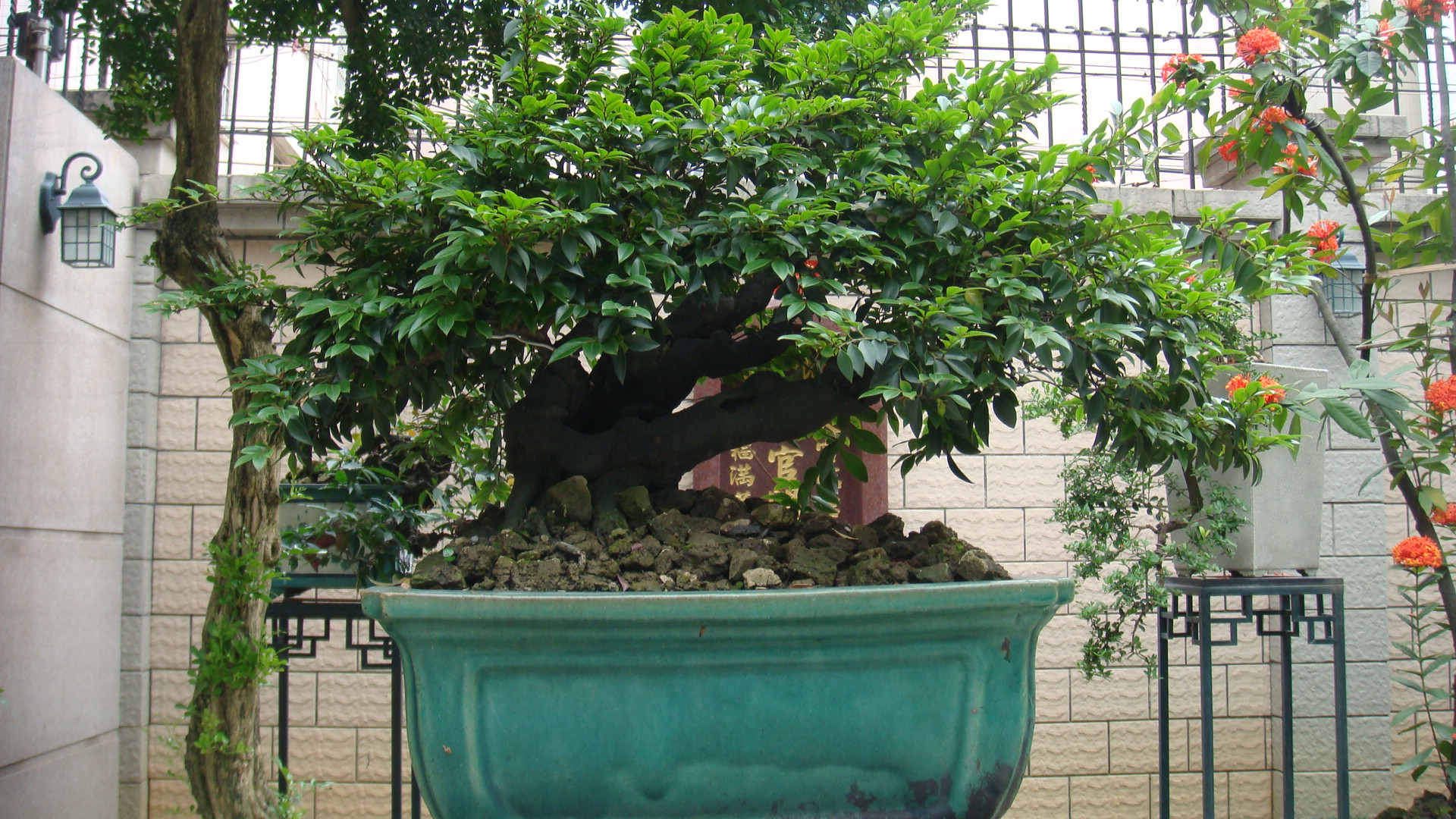 DSC00101.JPG