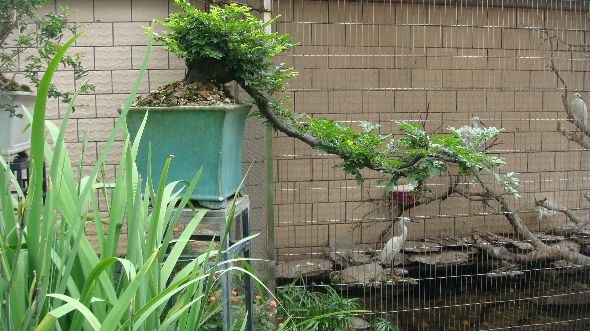 DSC00103.JPG