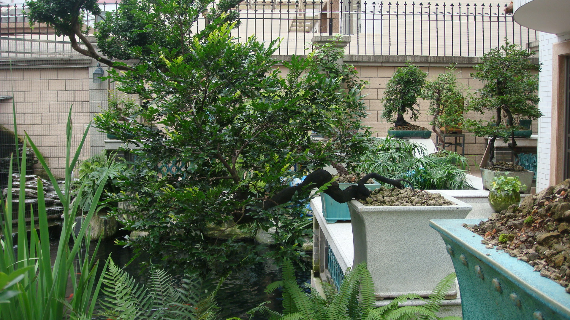 DSC00107.JPG