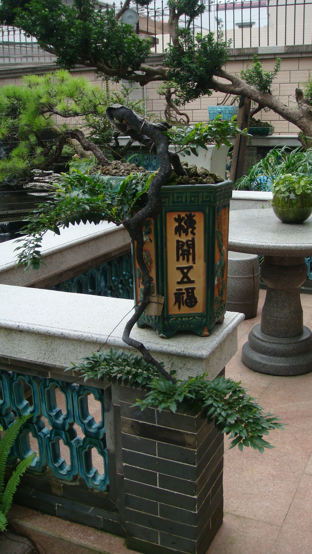 DSC00108.JPG