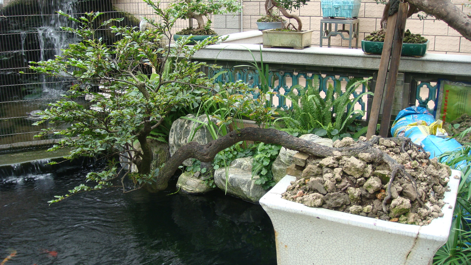 DSC00109.JPG