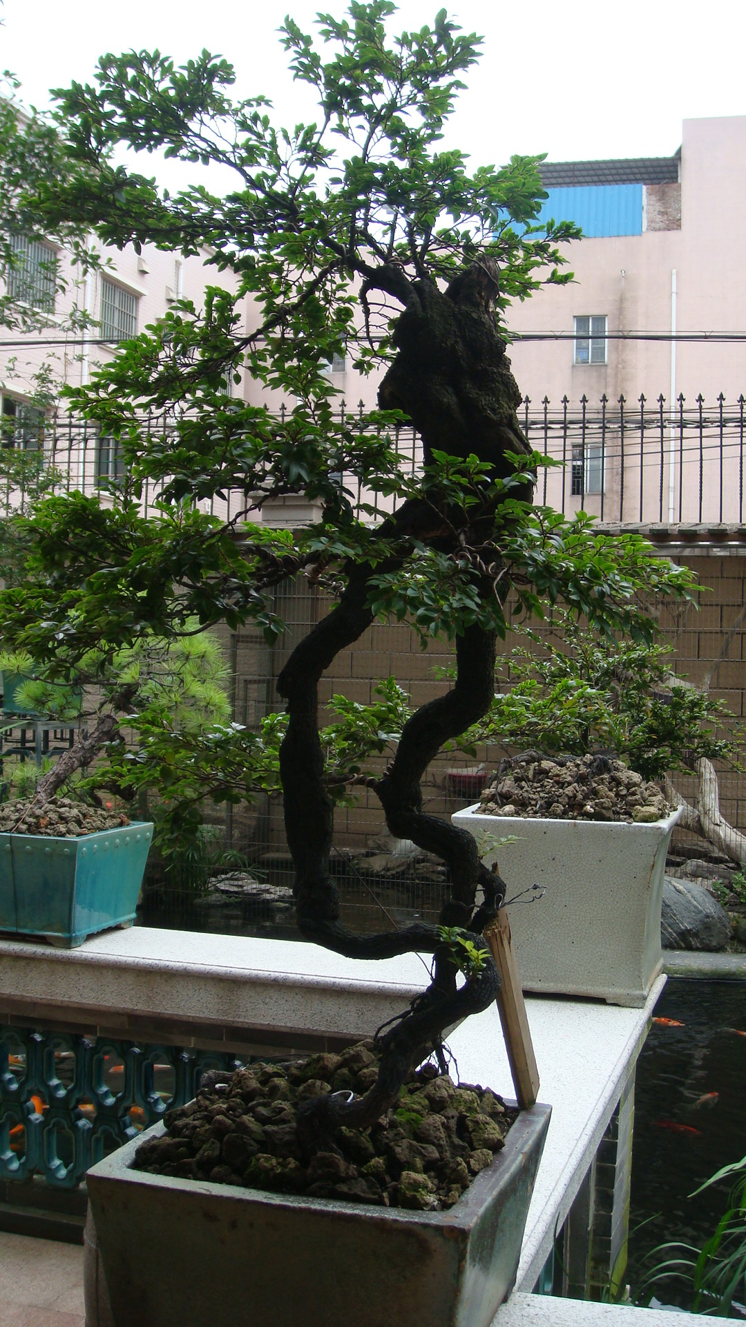 DSC00110.JPG