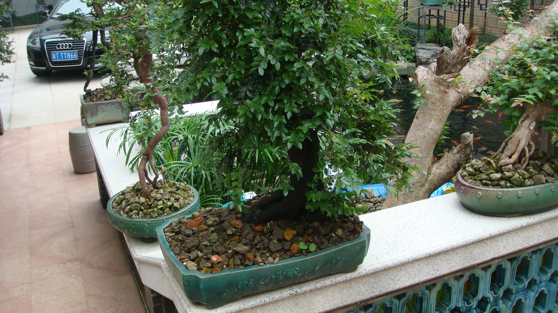 DSC00111.JPG