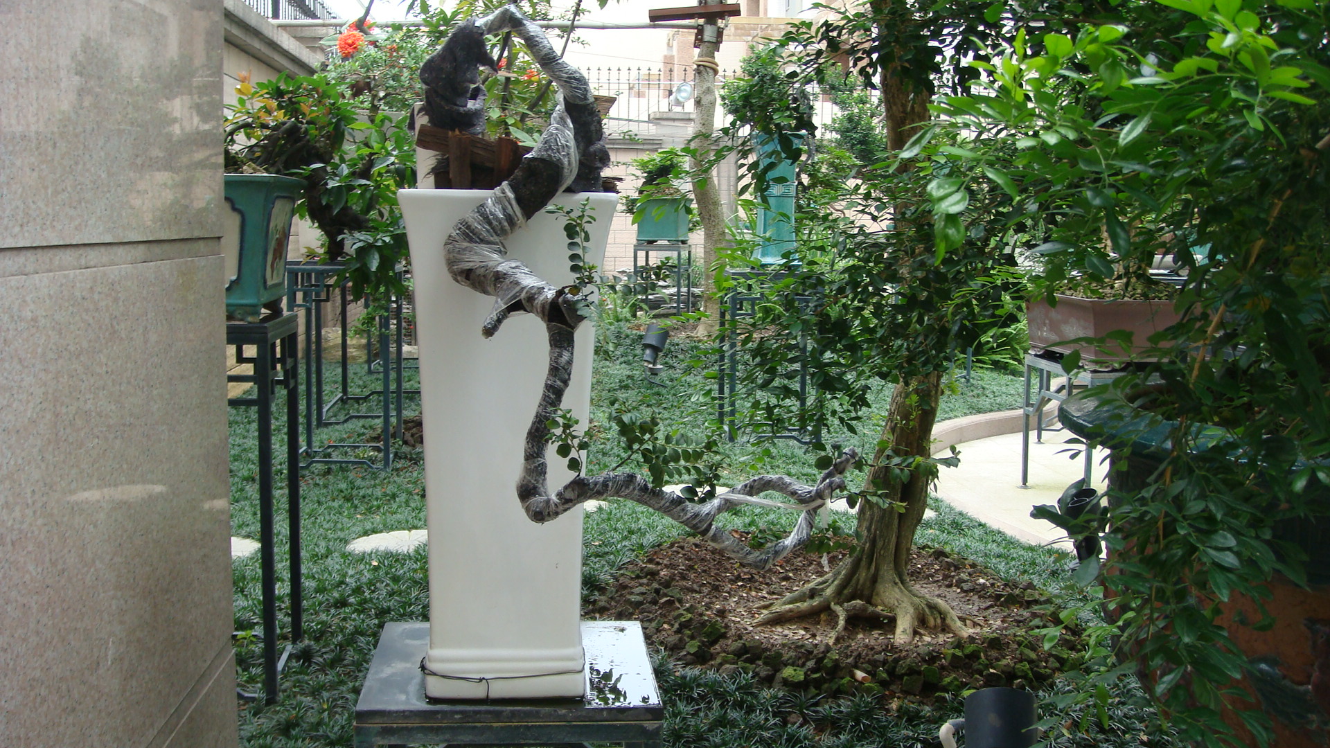 DSC00112.JPG