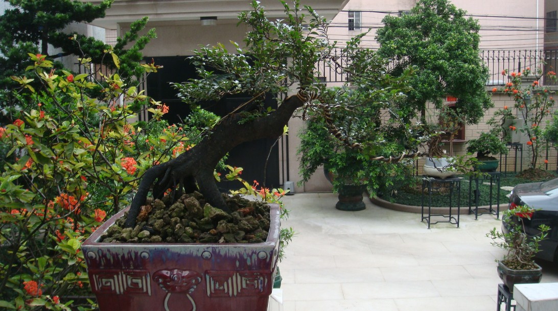QQͼ20120521171932.jpg