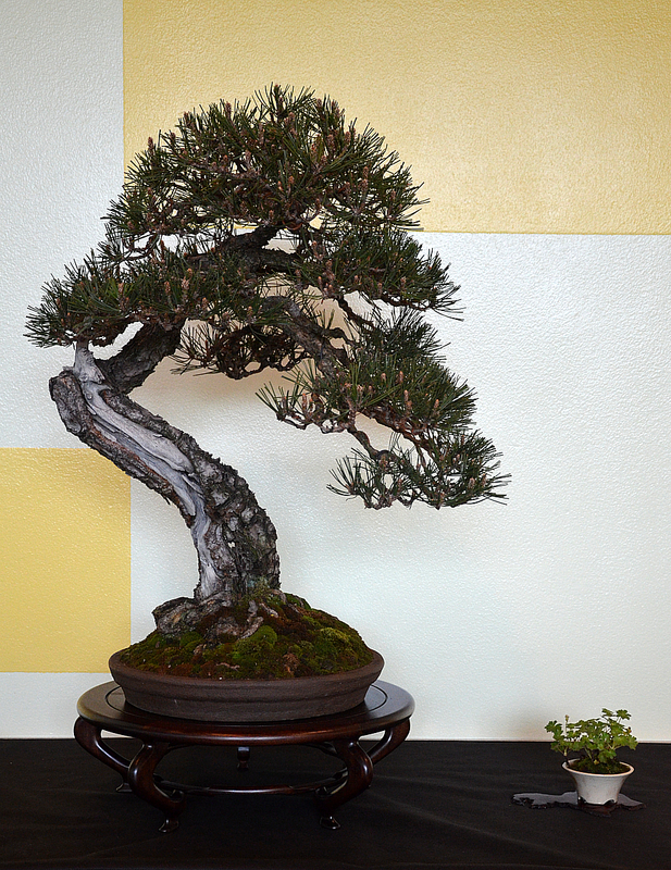 dsc8147.jpg