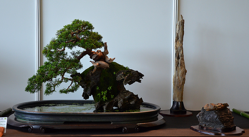 dsc8150.jpg
